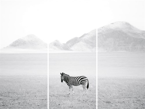 Roaming Free - Trio - Lee Frost