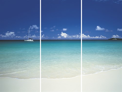 Tropical Dreaming - Trio - Chris Simpson