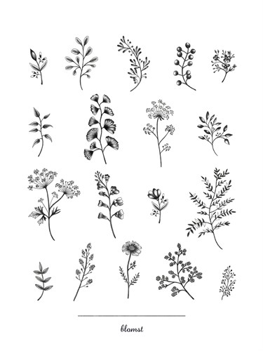 Herbarium Blomst - Lucy Francis