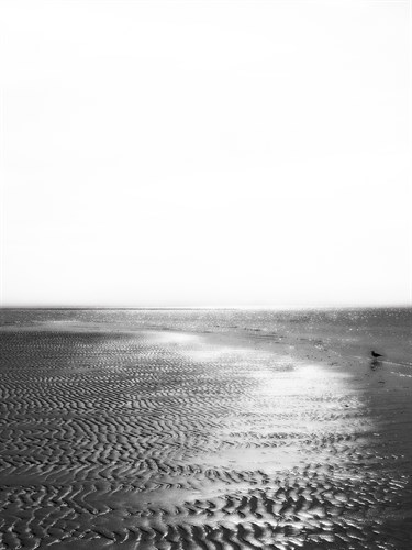 Seascape - Mono - Malcolm Sanders