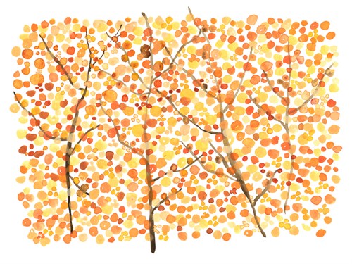 Fall-Blooming - Sarah Von Dreele