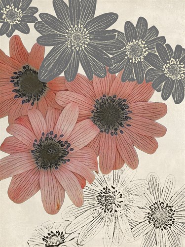 Anemone Art - Belle Poesia