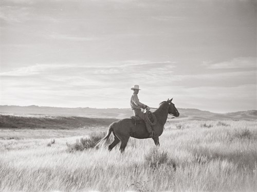 Range Rider - Kernud Hansen