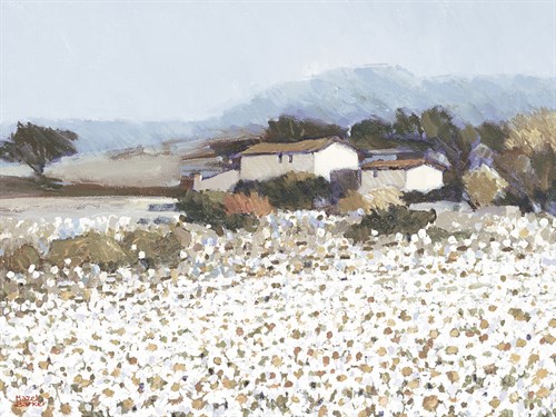 Tranquil Farm Near Bini - Hazel Barker