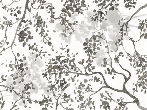 Interweave - Sandra Jacobs