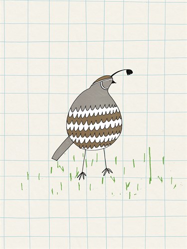Quavering Quail - Lisa Stickley