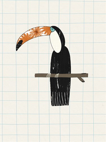 Tropical Toucan - Lisa Stickley