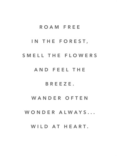 Roam Free - Joni Whyte