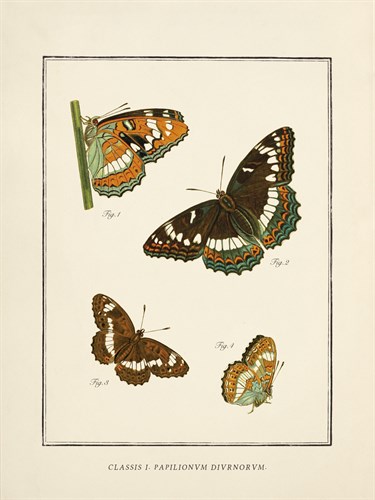 Papilio Collectio - The Vintage Collection