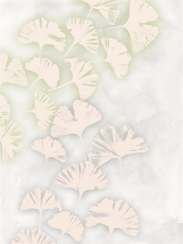 Ginkgo Melody - Belle Poesia