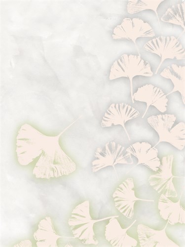 Ginkgo Chorus - Belle Poesia