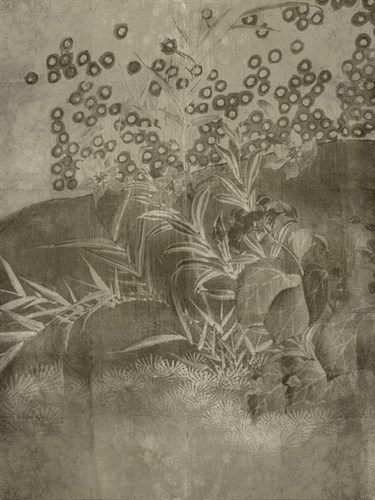 Fascinating Ferns - Belle Poesia