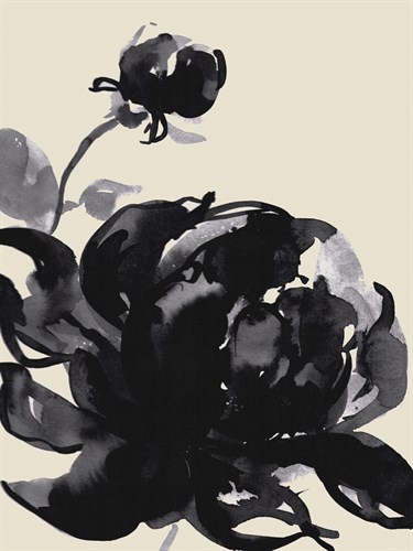 Sarcenet Beauty - Loft Studio