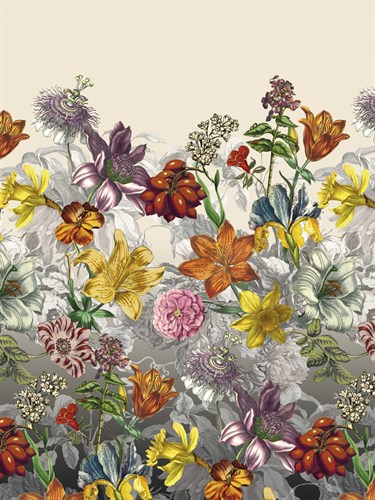 Multicoloured Medley - Stefan Jans