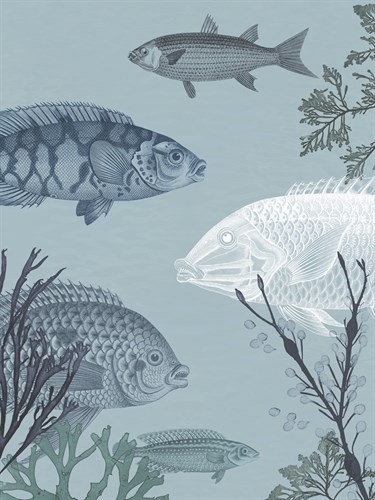 Oceanic Fauna - The Vintage Collection