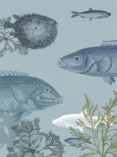 Oceanic Fiesta - The Vintage Collection