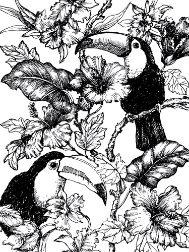 Toucan Twosome - Loft Studio