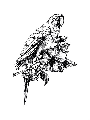 Feathered Bouquet - Loft Studio