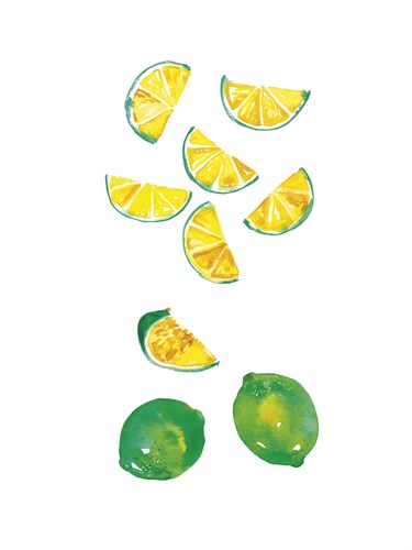 Table Harvest - Lime Wedge - Loft Studio
