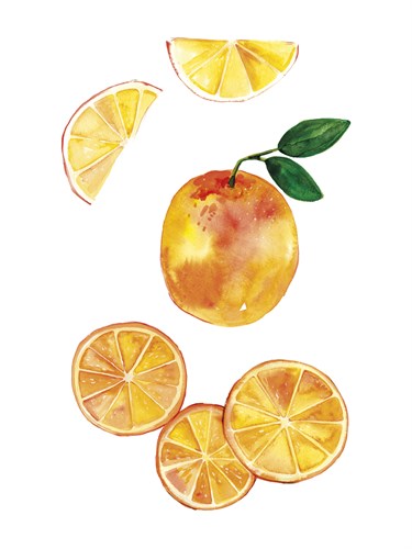 Table Harvest - Orange - Loft Studio