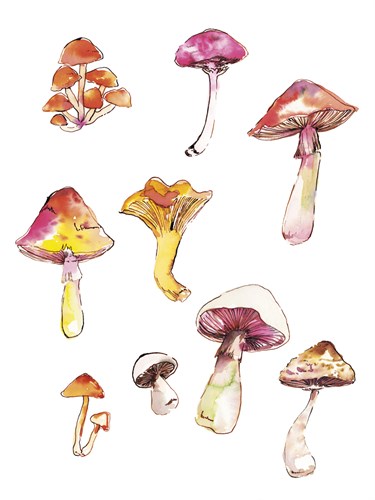 Table Harvest - Fungi - Loft Studio