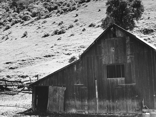 Barn in a Valley, Back of Mission, San Jose - Dorothea Lange