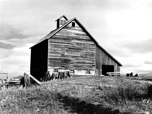 The Barn of an Older Settler - Dorothea Lange