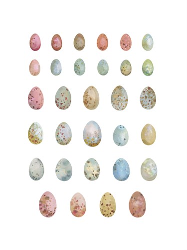 Egg Collection - Sandra Jacobs