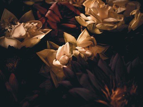 Twilight Lustre - Florian Schleinig