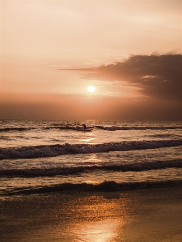 Sunset Shimmer - Florian Schleinig