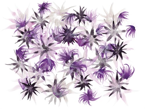 Stemmed Starburst - Sarah Von Dreele
