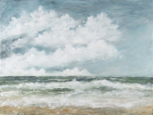 Salt Spray - Barbra Mann Myers