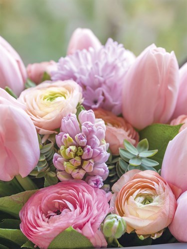 Spring Stems - Bloom - Assaf Frank