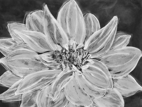 Chalk Cluster - Belle Poesia