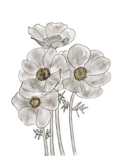 Anemone Quartet - Belle Poesia