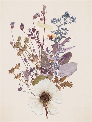 Weeds - Anahata Katkin