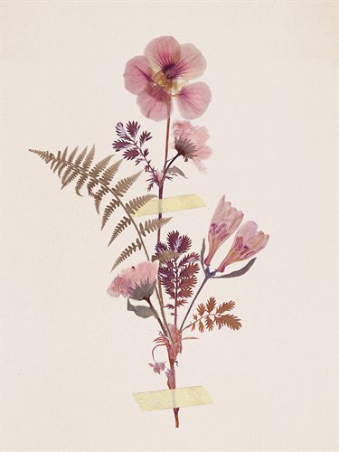 Pink Petals - Anahata Katkin