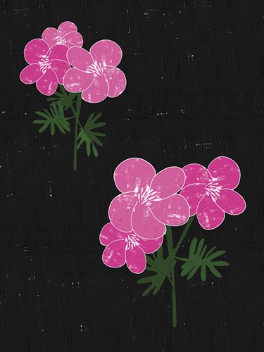 Geranium Blackboard - Lisa Stickley