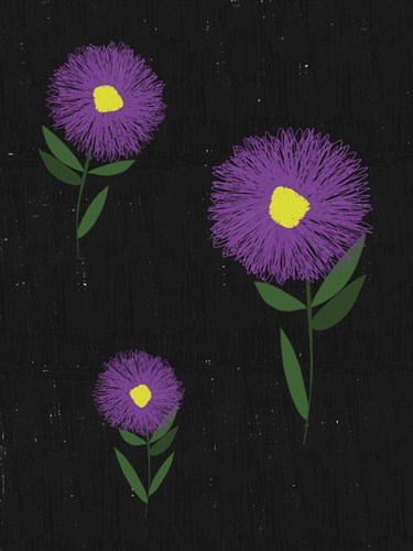 Ice Plant Blackboard - Lisa Stickley