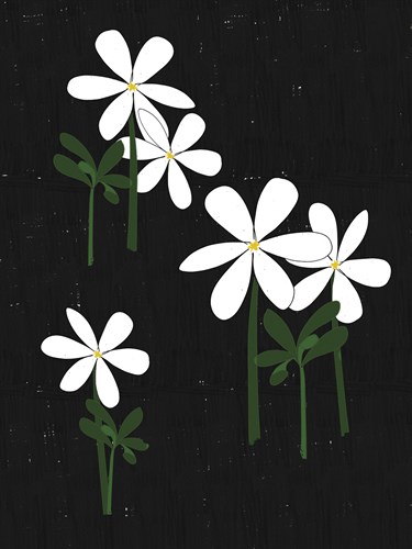 Jasmine Blackboard - Lisa Stickley