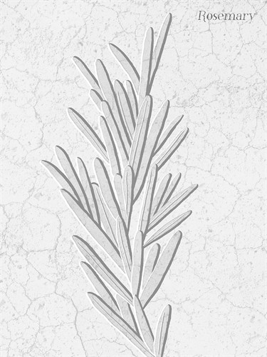 Pressed Plaques - Rosemary - Kristine Hegre