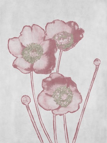 Floral Fade - Unity - Belle Poesia