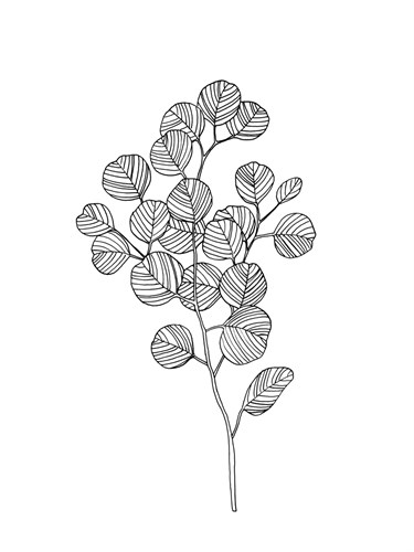 Linear Nature - Flourish - Belle Poesia