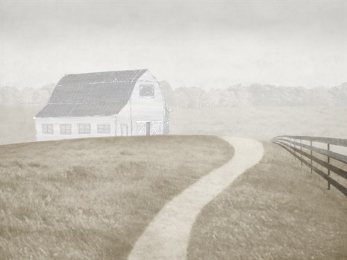 Prairie Landscape - Midori Greyson