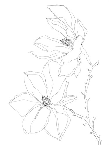 Linear Bloom - Grow - Kristine Hegre