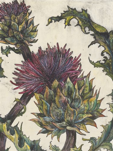 Spear Thistle - Droit - Vicky Oldfield