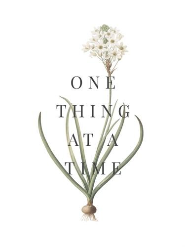 One Thing - Pierre Joseph Redoute