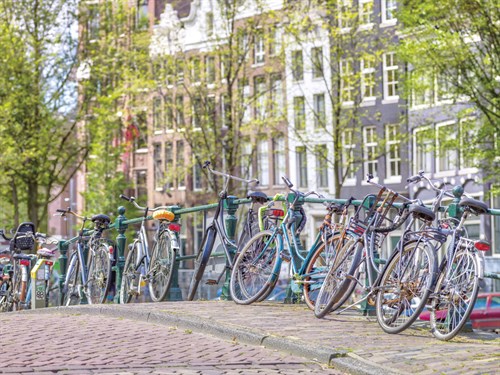 Cycle Collective - Assaf Frank