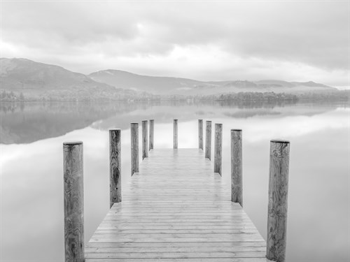 Harmonious Pier - Assaf Frank