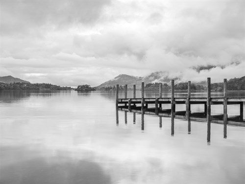 Jetty Wonder - Assaf Frank